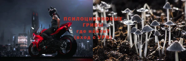 дживик Алексин
