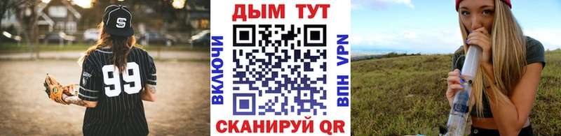 Каннабис OG Kush Абаза